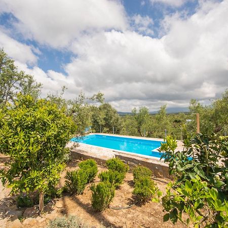 Hakuna Matata Holidays Wooden Lodge With Airco & Pool In Greek Olive Grove ميثوني المظهر الخارجي الصورة