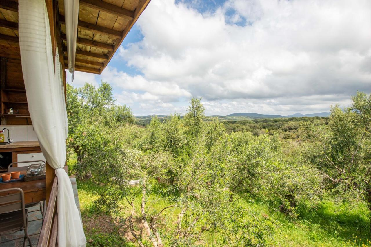 Hakuna Matata Holidays Wooden Lodge With Airco & Pool In Greek Olive Grove ميثوني المظهر الخارجي الصورة