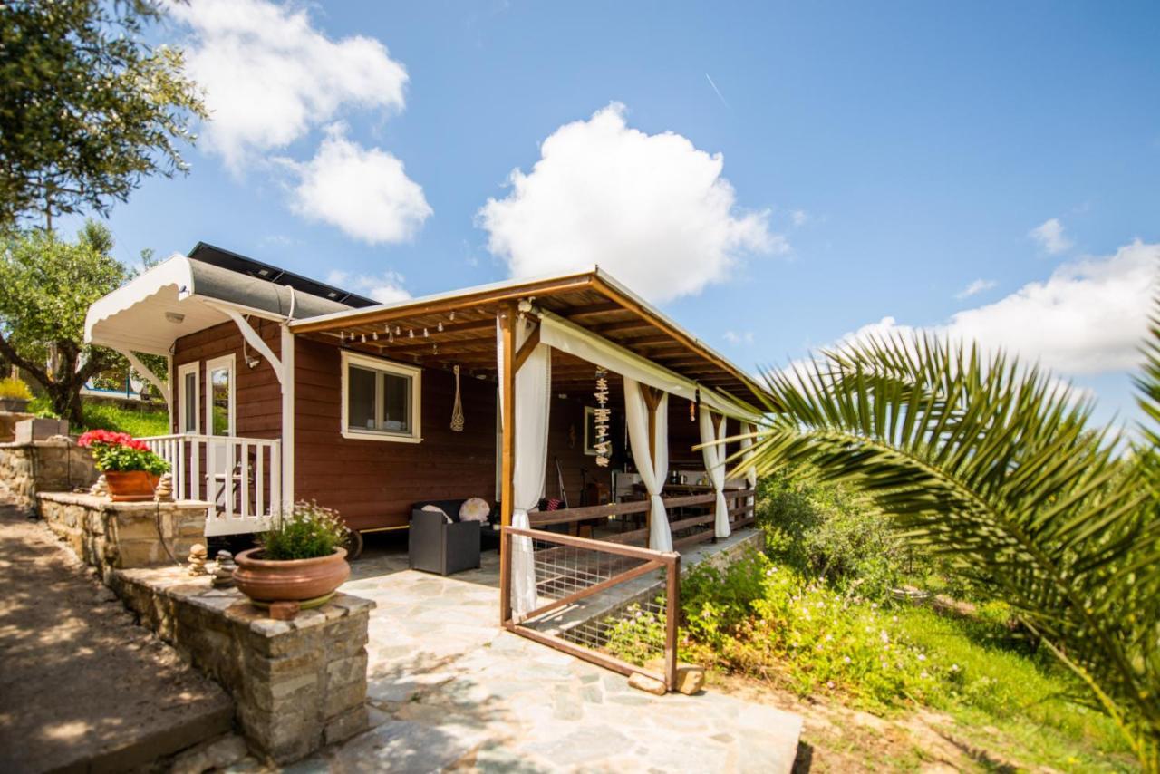 Hakuna Matata Holidays Wooden Lodge With Airco & Pool In Greek Olive Grove ميثوني المظهر الخارجي الصورة