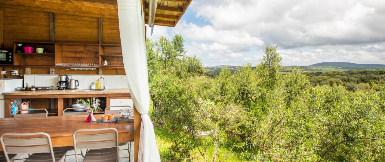 Hakuna Matata Holidays Wooden Lodge With Airco & Pool In Greek Olive Grove ميثوني المظهر الخارجي الصورة