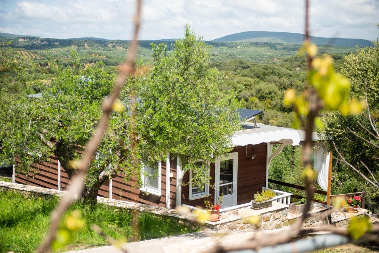Hakuna Matata Holidays Wooden Lodge With Airco & Pool In Greek Olive Grove ميثوني المظهر الخارجي الصورة