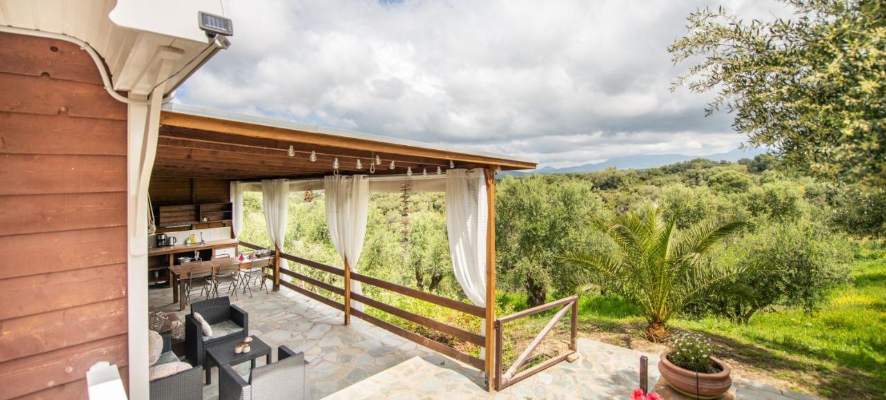 Hakuna Matata Holidays Wooden Lodge With Airco & Pool In Greek Olive Grove ميثوني المظهر الخارجي الصورة