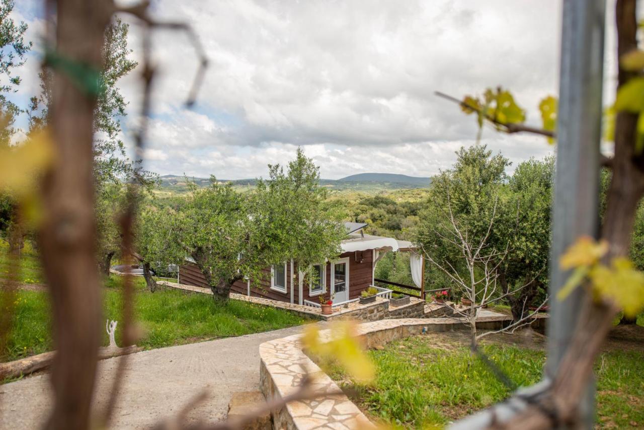 Hakuna Matata Holidays Wooden Lodge With Airco & Pool In Greek Olive Grove ميثوني المظهر الخارجي الصورة