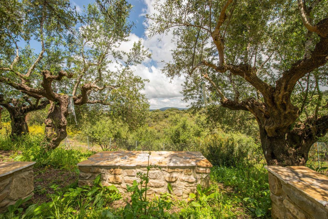Hakuna Matata Holidays Wooden Lodge With Airco & Pool In Greek Olive Grove ميثوني المظهر الخارجي الصورة