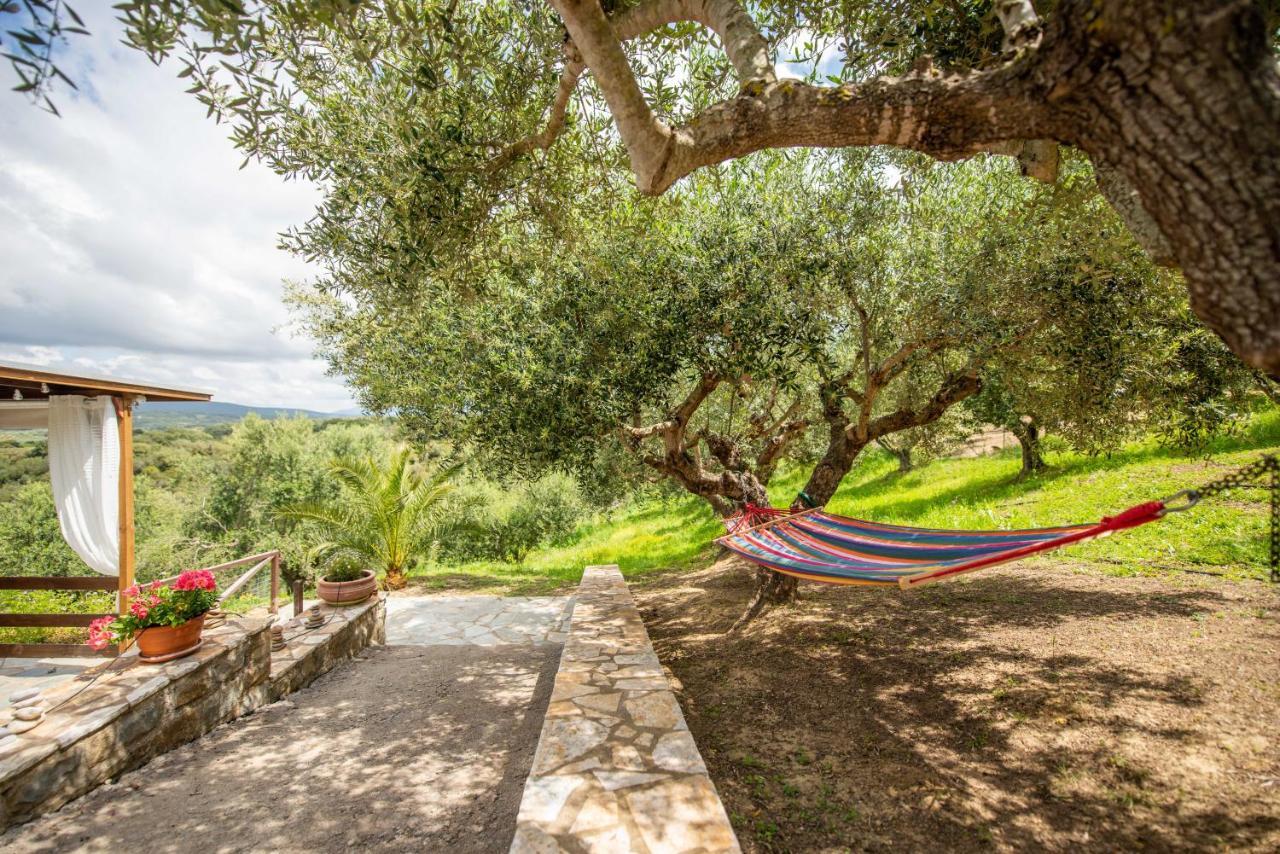 Hakuna Matata Holidays Wooden Lodge With Airco & Pool In Greek Olive Grove ميثوني المظهر الخارجي الصورة