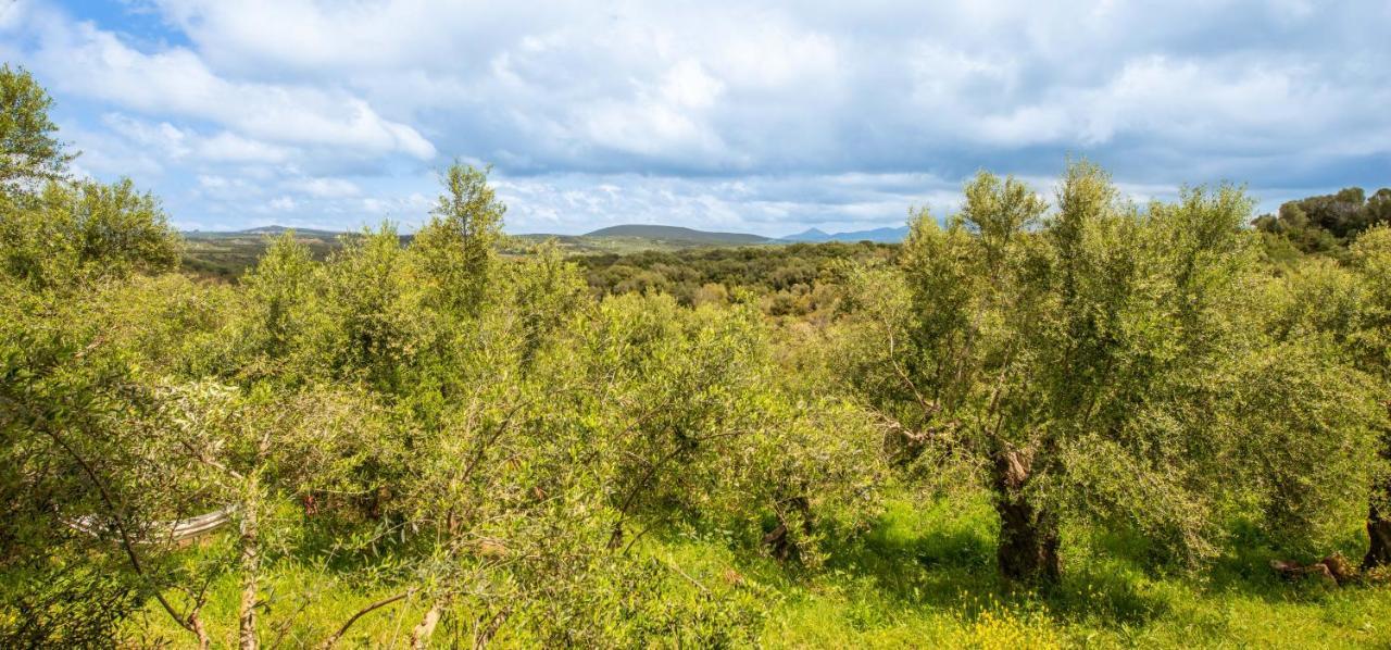 Hakuna Matata Holidays Wooden Lodge With Airco & Pool In Greek Olive Grove ميثوني المظهر الخارجي الصورة