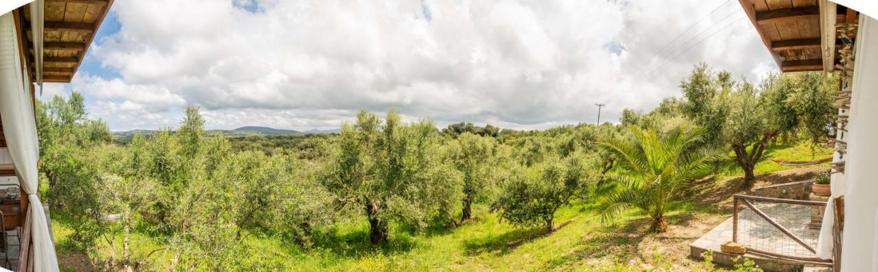 Hakuna Matata Holidays Wooden Lodge With Airco & Pool In Greek Olive Grove ميثوني المظهر الخارجي الصورة