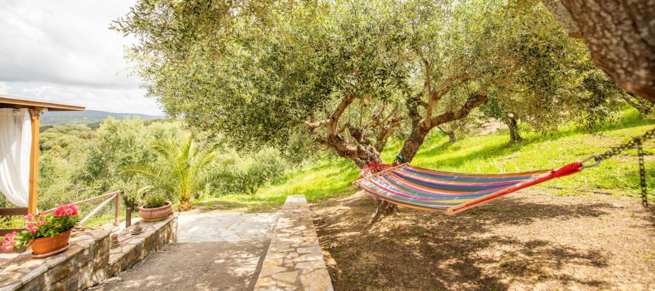 Hakuna Matata Holidays Wooden Lodge With Airco & Pool In Greek Olive Grove ميثوني المظهر الخارجي الصورة