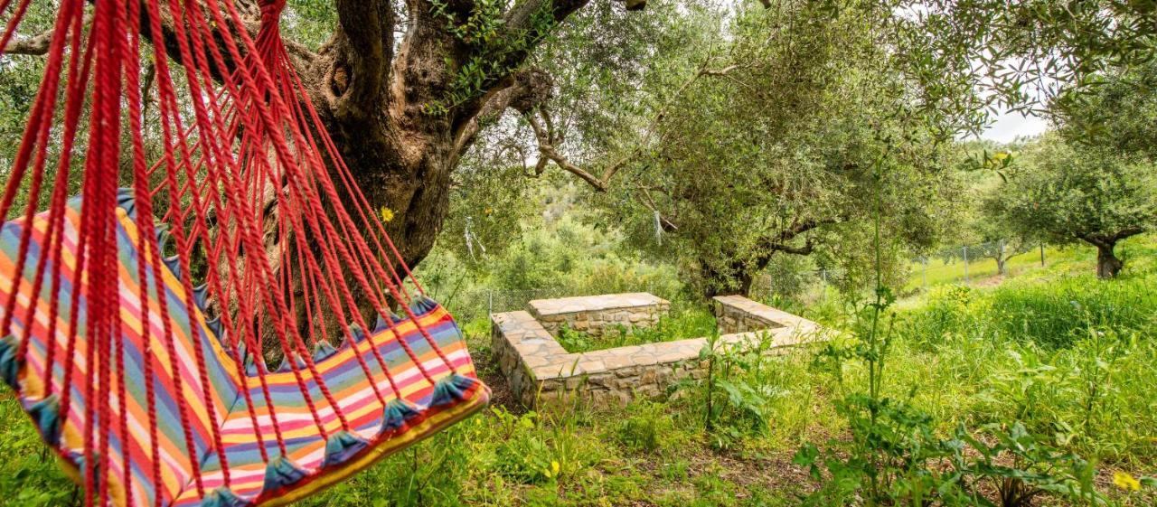 Hakuna Matata Holidays Wooden Lodge With Airco & Pool In Greek Olive Grove ميثوني المظهر الخارجي الصورة