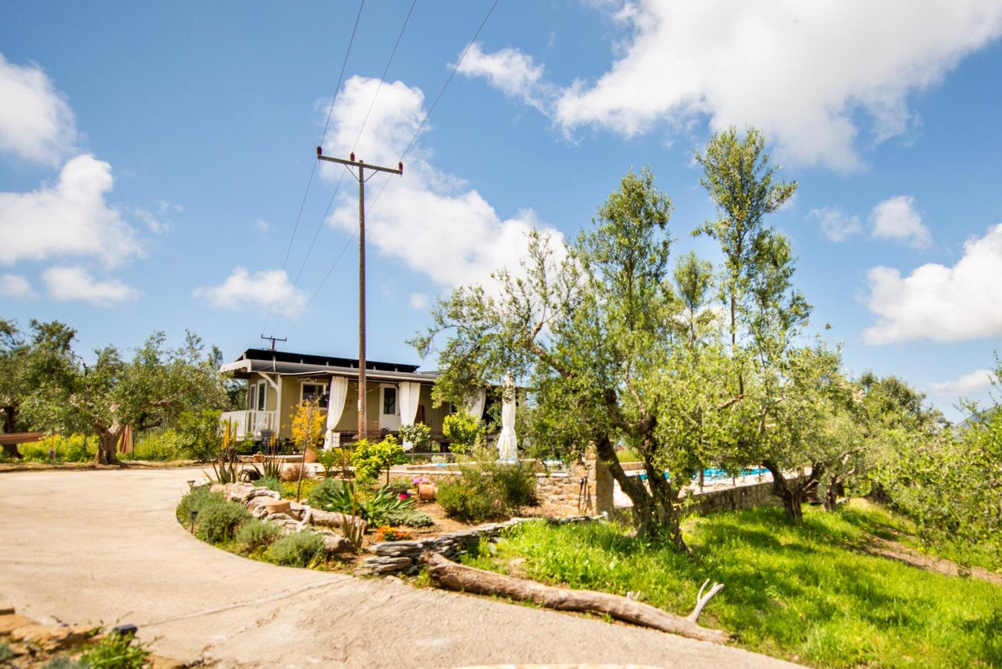 Hakuna Matata Holidays Wooden Lodge With Airco & Pool In Greek Olive Grove ميثوني المظهر الخارجي الصورة